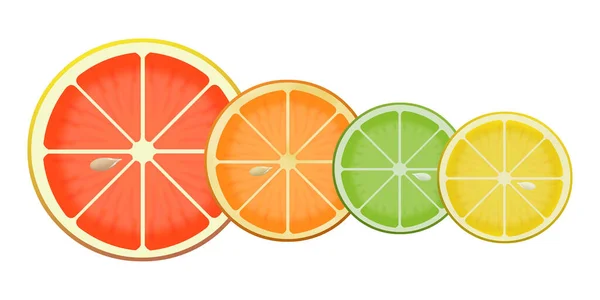 这里是一个例证 显示在蓝色背景查出的柑橘果实切片 — 图库照片