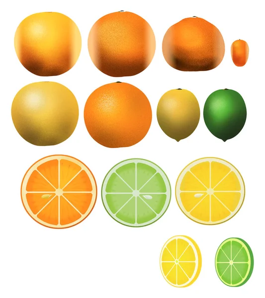 Las Frutas Cítricas Son Vistas Como Ilustraciones Aisladas Fondo Para —  Fotos de Stock