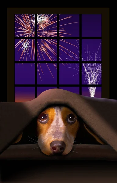 Söt Liten Beagle Hund Tornar Filt Som Fyrverkerier Explodera Utanför — Stock vektor