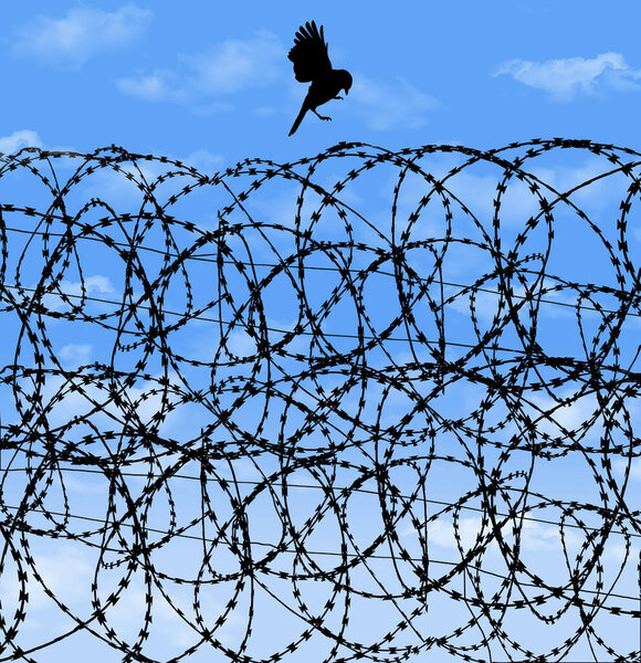 A free bird is about to land on Razor wire, contstantino wire, barbed wire of a prison and is seen in front of a blue sky in this background image.