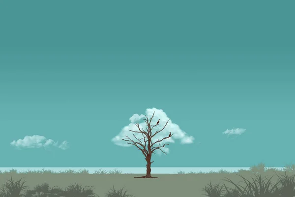 Бакланы Сидят Бесцветном Дереве Рядом Озером Дрейфующее Облако Кажется Является — стоковое фото