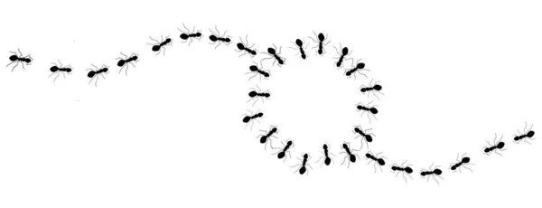 Γραμμές Από Μαύρα Μυρμήγκια Κυκλώνουν Έναν Κενό Χώρο Που Μπορούσε — Φωτογραφία Αρχείου