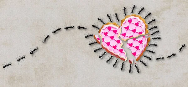 Μια Αποικία Μυρμηγκιών Φτάνει Για Σέλαν Ένα Μπισκότο Ραγισμένης Καρδιάς — Φωτογραφία Αρχείου