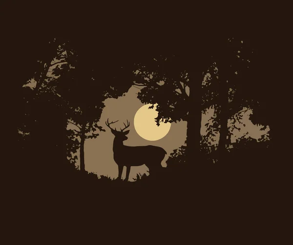黄昏时分 一只公鹿站在森林的一个洞口里 也有可能是日出的画面 — 图库照片