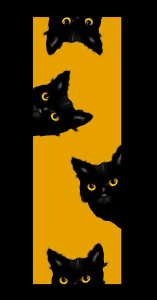 Черные Котята Золотисто Жёлтыми Глазами Смотрят Прямоугольное Отверстие Мерной Иллюстрации — стоковое фото