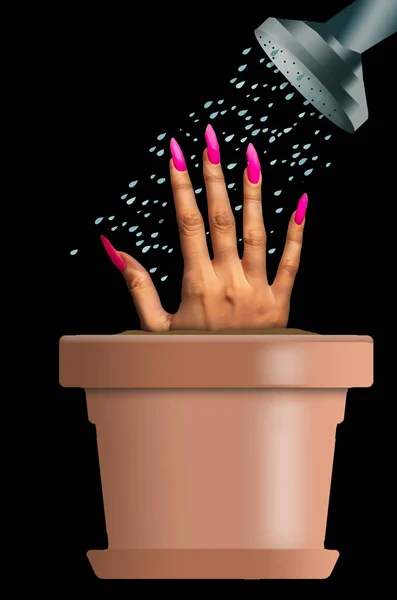 在这个三维图中 一只长指甲的手被插在一个花盆里 正在浇水 以促进指甲的生长和健康 — 图库照片