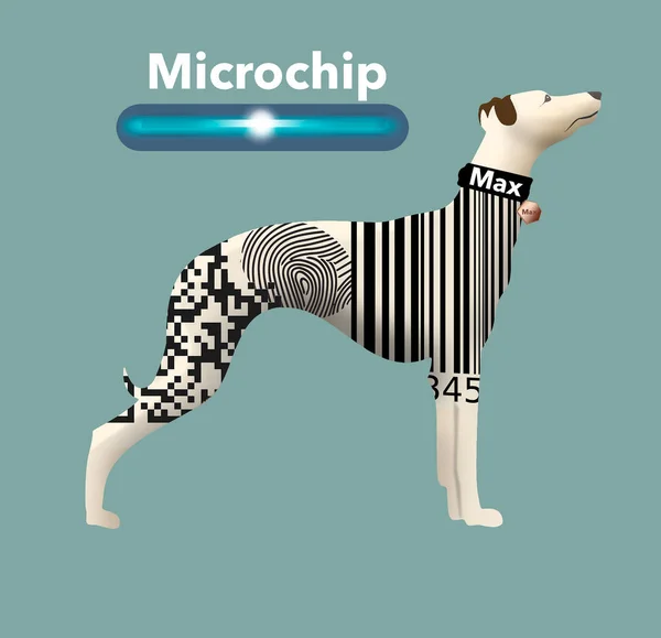 The best way to tag your dog so he can be returned if lost is with a microchip. Other ways are collar, tag, bar code, fingerprint and QR code. Humorous 3-d illustration.