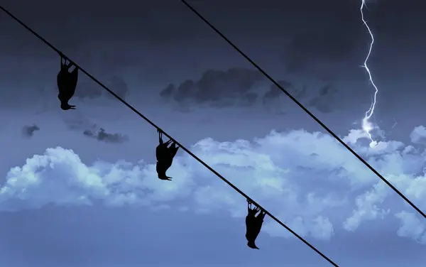 stock image Three birds hang dead from power lines following a lightning storm in a 3-d illustration.