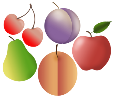 Şeffaf bir arka planda kiraz, erik, şeftali, elma ve armut izole edilmiş olarak görülür..