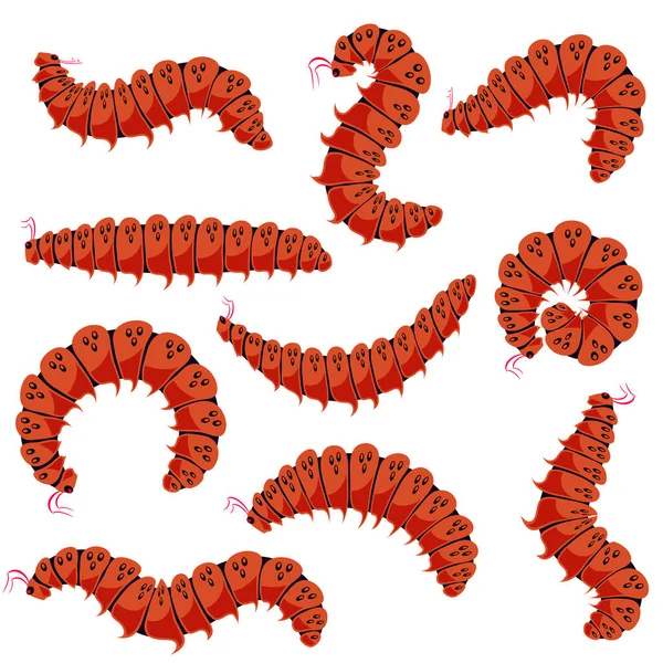 Caricature Rouge Chenilles Isolées Sur Fond Blanc Mignons Insectes Été — Image vectorielle