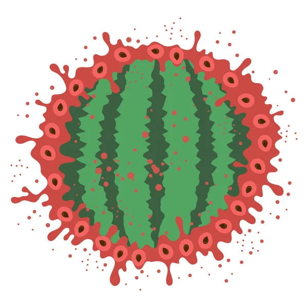 Vector Fresh Sweet Natural Reife Wassermelone Muster Mit Samen Isoliert — Stockvektor
