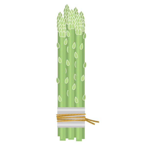 ベクトルおいしい新鮮な緑のアスパラガス白の背景に隔離されたセット ビーガン対応のベストフード アスパラガス漫画のスタイルでバンチ 有機農場の野菜 — ストックベクタ