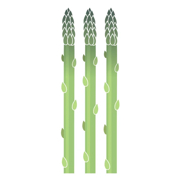 Vector Tasty Fresh Green Asparagus Set Isolerad Vit Bakgrund Bästa — Stock vektor