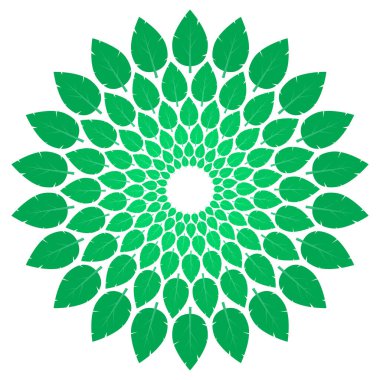 Doğal yeşil taze organik yapraklar beyaz arka planda izole edilmiş. Doğal, eko, biyoloji, vegan etiketler için element tasarımı.