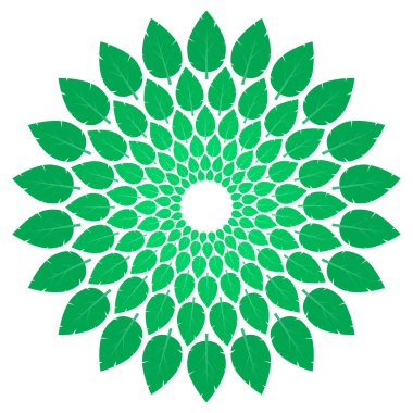 Beyaz arkaplanda doğal yeşil taze organik yaprak ikonu var. Doğal, eko, biyoloji, vegan etiketler için element tasarımı.