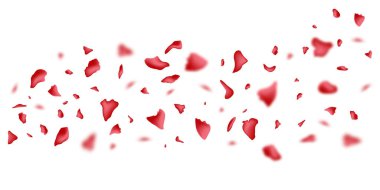 Muhteşem gül yaprağı tebrik kartı tasarımı. Düşen kırmızı gül yaprakları mevsimlik konfetiler, beyaz arka planda yalnız uçan çiçek elementleri..