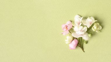 Spring Banner. White Flowers bouquet on light green background. Birthday, Mothers Day greeting card. Copy space.