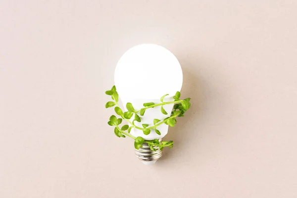 Glowing light bulb with green leaves on beige background. Green energy creative concept. Eco LED Lamp, environment sustainable.