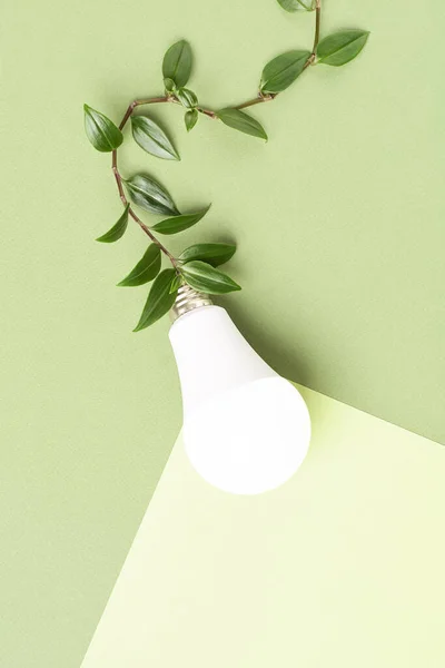 Ampoule Eco Avec Faisceau Sur Câble Branche Vert Concept Énergie — Photo