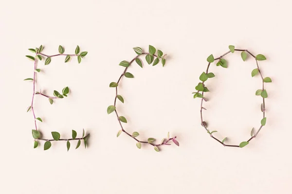 Wort Eco Aus Naturgrünen Zweigen Und Blättern Auf Beigem Hintergrund — Stockfoto
