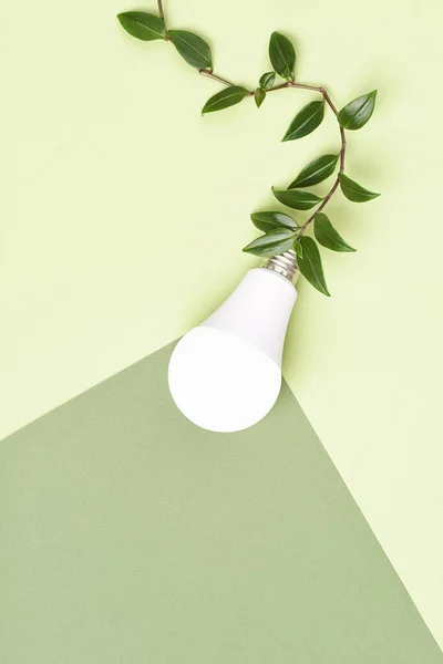 Ampoule Économie Énergie Qui Brille Sur Câble Branche Vert Concept — Photo