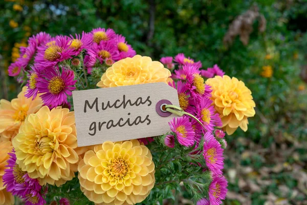 Pozdrowienia Bukietem Jesiennych Kwiatów Hiszpanskiego Tekstu Dziękuję — Zdjęcie stockowe