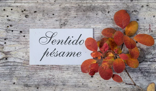 色彩斑斓的秋叶和西班牙文的同情卡 诚挚的哀悼 — 图库照片