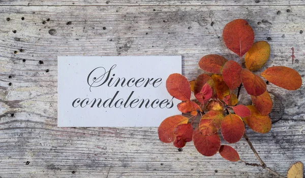 Карточка Сочувствия Цветными Осенними Листьями Английским Текстом Искренние Соболезнования — стоковое фото