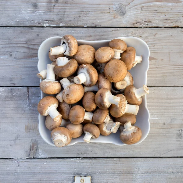 Tigela Cogumelos Fundo Madeira — Fotografia de Stock