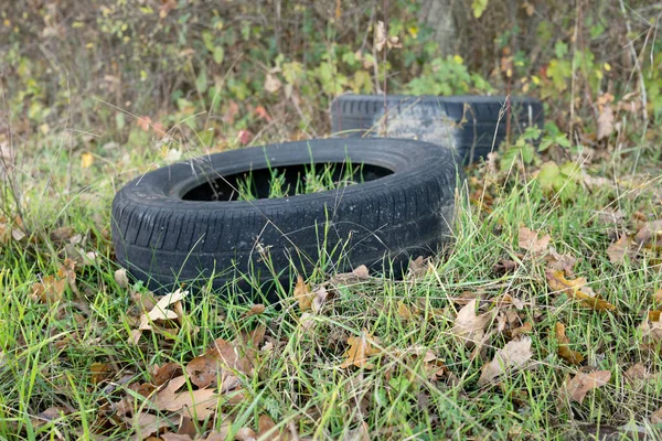 Old Car Tires Were Illegally Discarded Forest — Stock Photo, Image