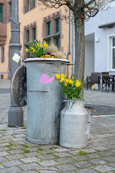 Odpadkový Koš Zinkový Koš Zasazený Květinami — Stock fotografie