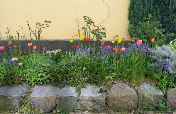 Blumenbeet Mit Frühlingsblumen Haus — Stockfoto