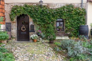 Quedlinburg, Mnzenberg 'de otlarla ve tırmanma bitkileriyle ön bahçeli bir eve giriş.