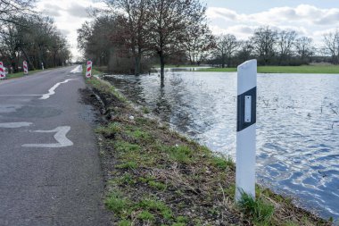 Altmark, Saksonya-Anhalt, Almanya 'da sel basmış çayırlar