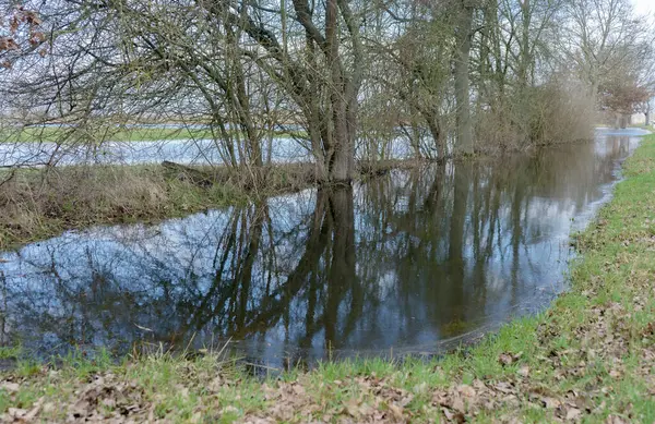 Prados Inundados Altmark Saxónia Anhalt Alemanha — Fotografia de Stock