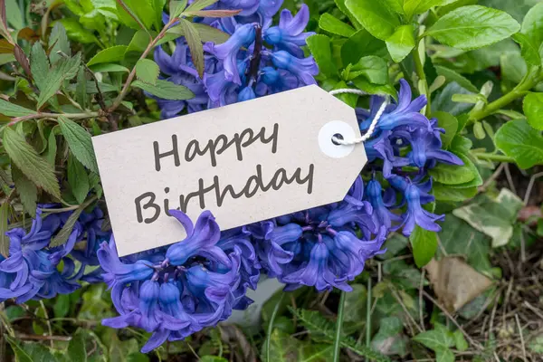 Bouquet Blue Hyacinths Card English Text Happy Birthday Stock Image