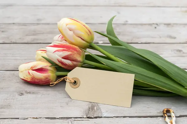 Strauß Gestreifter Tulpen Rot Gelb Und Weiß Und Karte Mit lizenzfreie Stockbilder