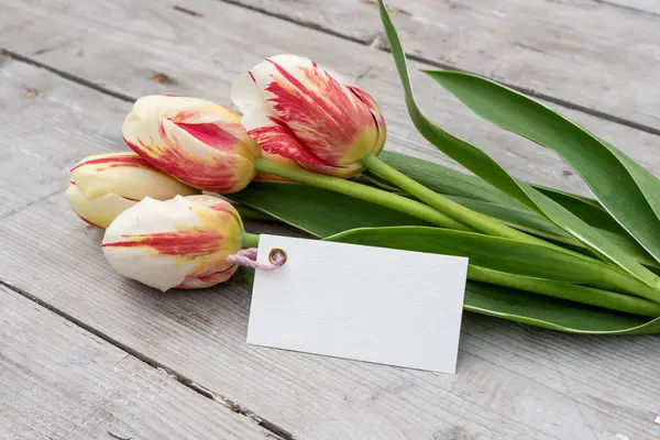 빨간색 노란색과 흰색과 카드에 줄무늬 튤립의 꽃다발 스톡 사진