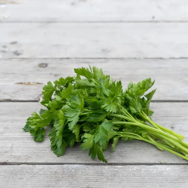 Bunch Fresh Flat Leaf Parsley Light Wooden Background Stock Picture