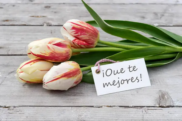 Tarjeta Felicitación Con Tulipanes Rojos Amarillos Blancos Texto Español Mejórate Imagen De Stock