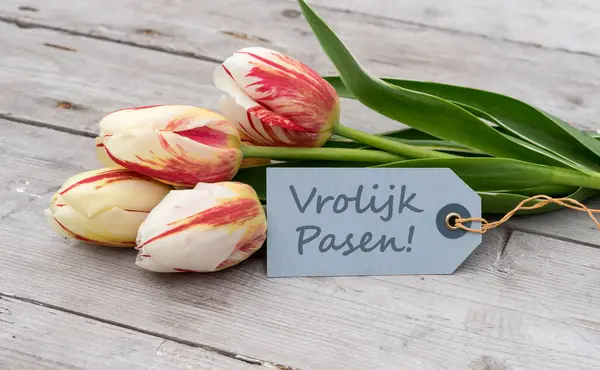 Greeting Card Red Yellow White Tulips Dutch Text Happy Easter Fotografia De Stock