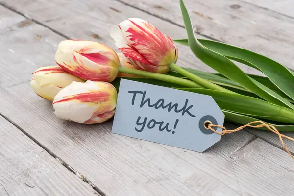 Greeting Card Red Yellow White Tulips English Text Thank You Stock Photo