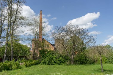 Ribbeck, Brandenburg, Almanya 'da eski içki imalathanesi olan doğal bahçe.