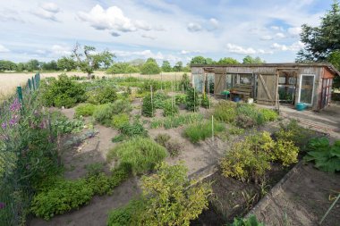 Yazın çalıları ve ağaçları olan sebze bahçesi.