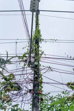 Tayland 'da elektrik hatları olan elektrik direği, tırmanma tesisleriyle dolu.