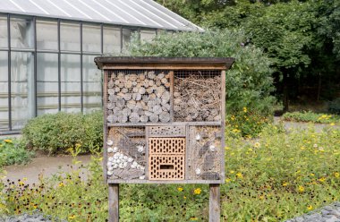 Çiçekli bahçeler, sera ve böcek oteli.