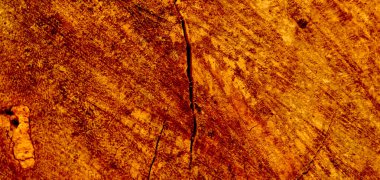 Kaba ağaç kabuğu dokusunun yakın çekimi doğal desenleri ve toprak tonlarını gösteriyor. Kabuğun ayrıntılı yüzeyi koyu kahverengi ve gri katmanlarını gösterir, doğa temalı arka planlarda kullanmak için idealdir..