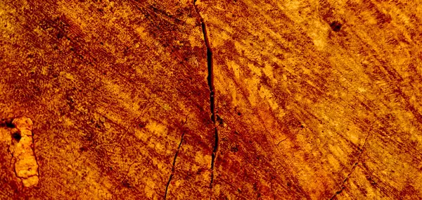 Kaba ağaç kabuğu dokusunun yakın çekimi doğal desenleri ve toprak tonlarını gösteriyor. Kabuğun ayrıntılı yüzeyi koyu kahverengi ve gri katmanlarını gösterir, doğa temalı arka planlarda kullanmak için idealdir..