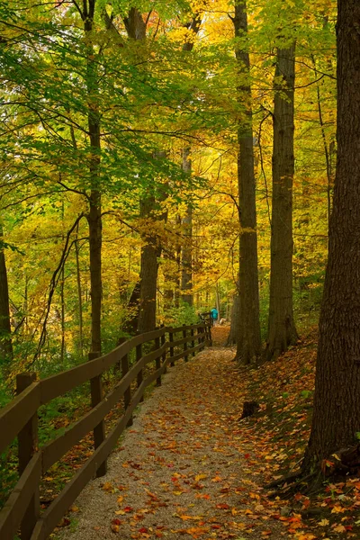 秋に北オハイオ公園のフェンスラインに沿って日陰の葉のパス 遠くにハイカーや犬と — ストック写真