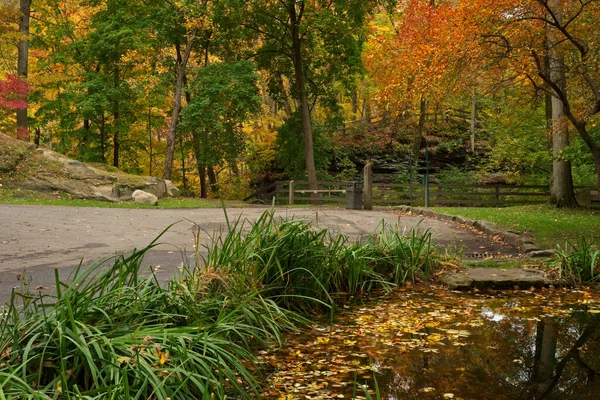 Autumn Colors Ohio Park Leaf Covered Pond Entrance — Stock Photo, Image
